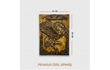 Pegasus Özel Sipariş